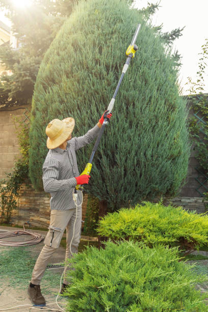 Seasonal Cleanup (Spring/Fall) in Dayton, VA